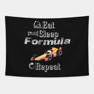 Eat Sleep Formula Repeat Tapestry