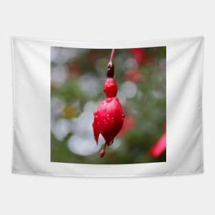 Beautiful pink flower bud on a rainy day Tapestry