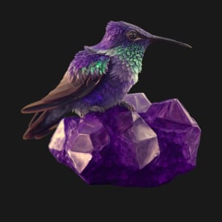 Hummingbird and Amethyst Crystal T-Shirt