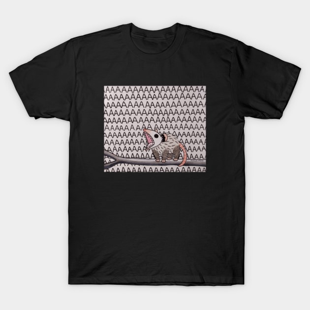 AAAAAAAAAAAAAAAAAAAAA Possum opossum