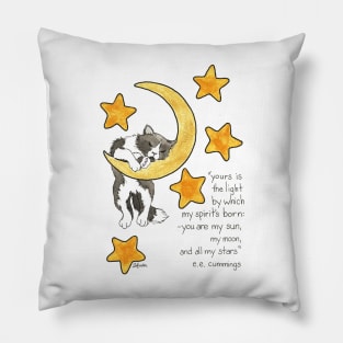 Moon and Stars Cat Pillow