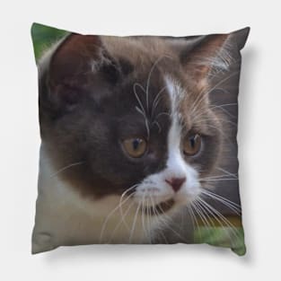 The black cute cats Pillow