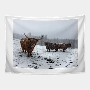 Scottish Highland Cattle Cows 2378 Tapestry