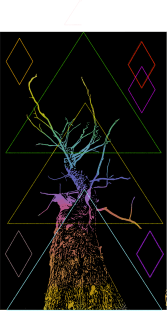 Geometric Rainbow Tree Magnet