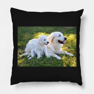 Golden Retriever Pillow