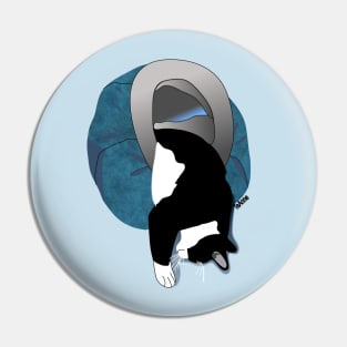 Cute Tuxedo cat in in his Igloo Copyright TeAnne Pin