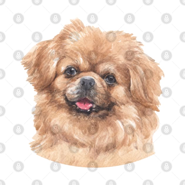 Tibetan Spaniel Watercolor Art by doglovershirts