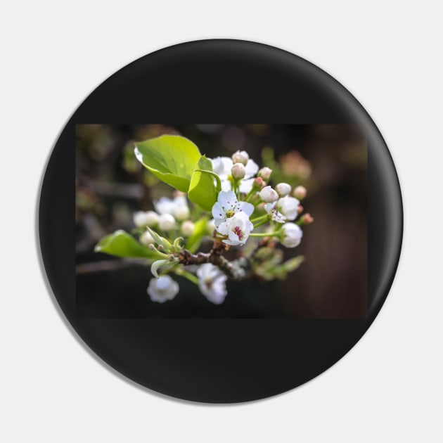 Spring Cluster Pin by gracethescene