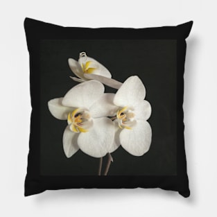 Black and White Orchid II Pillow