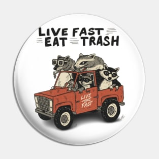 Funny Opossum Raccoon Meme, Live Fast Eat Trash Pin