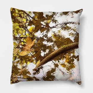 Autumn leaves on water, water, autumn, fall, leaves, summer, beach, stream, tree, exotic, tan Pillow