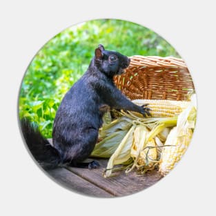 Squirrel is happy to find a basket of corn on the cob Pin