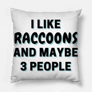 I Like Raccoons And Maybe 3 People Pillow