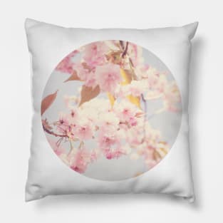 Cherry Blossoms Pillow