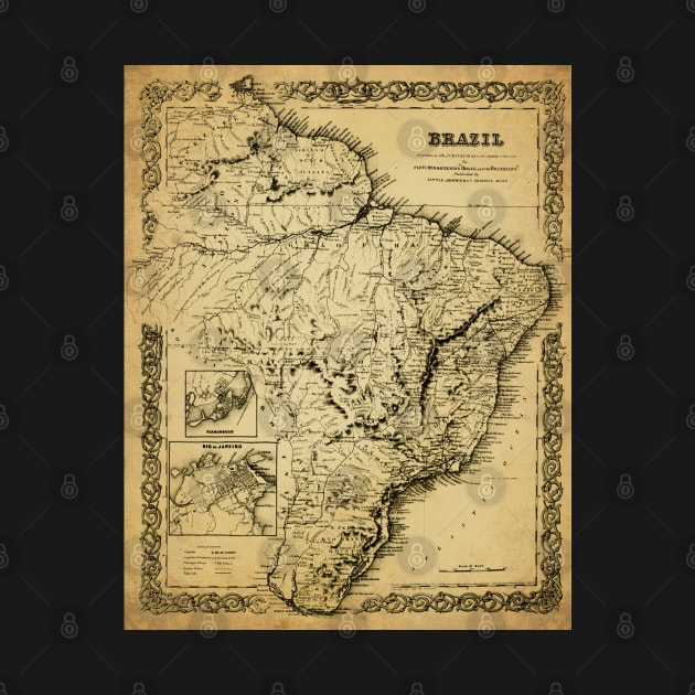 Old Map - Vintage - Brazil - Brazil by Labonneepoque