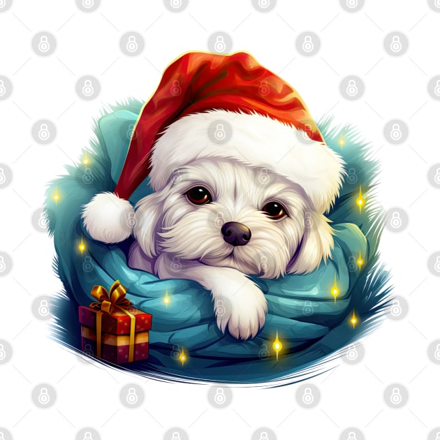 Lazy Maltese Dog at Christmas by Chromatic Fusion Studio