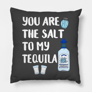 Perfect Match Funny Tequila Quote Pillow