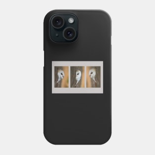 Barn Owl Triptych Phone Case