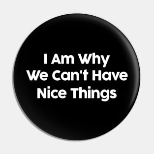 I Am Why We Can't Have Nice Things Funny Pin