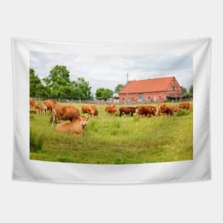 A herd of brown simmental cows grazing on a green pasture Tapestry