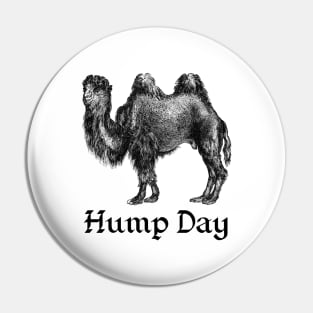 Hump Day Pin