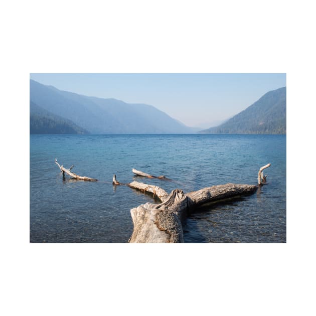 Lake Crescent by Jacquelie