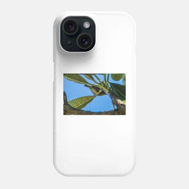 japanese white eye 22 Phone Case by KensLensDesigns