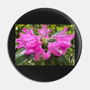 Summer Pink Rhododendron Riot in the Rain Pin