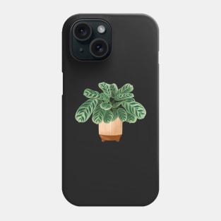 Calathea Burle-Marxii Amabilis, Calathea Plant Illustration Phone Case