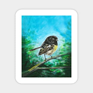 Miromiro Robin, NZ Magnet