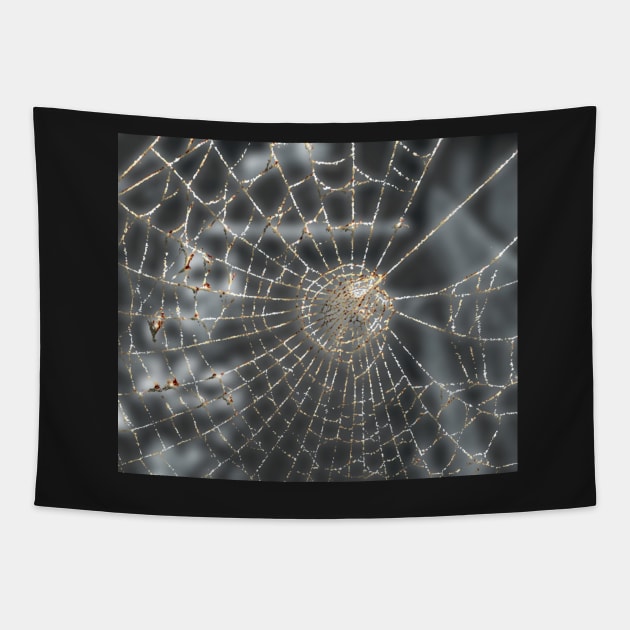 Spiderweb, in autumn. Tapestry by robelf