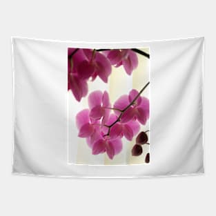 Pink orchid Tapestry