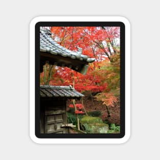 Japanese Gate and Red Maple Trees Magnet