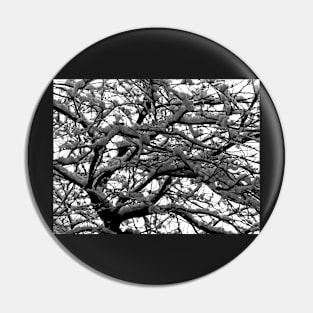 Snow in the branches Pin