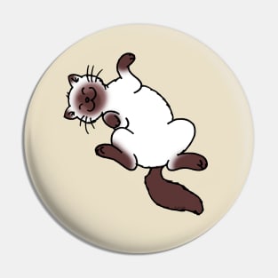 playful siamese cat Pin