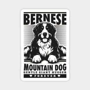 Bernese Mountain Dog Magnet