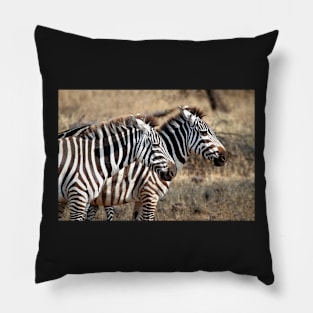 Plains Zebra, Serengeti National Park, Tanzania Pillow