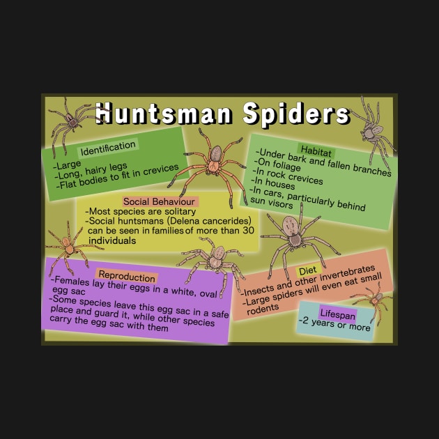 Huntsman Spider General knowledge poster by Artbychb