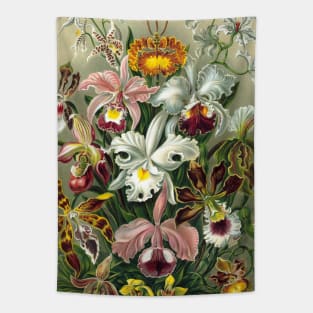Orchid Vintage Botanical Illustration Tapestry