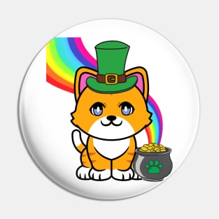 Cute Orange cat is a leprechaun Pin