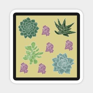 Succulents Pattern Peach with White Lines Magnet