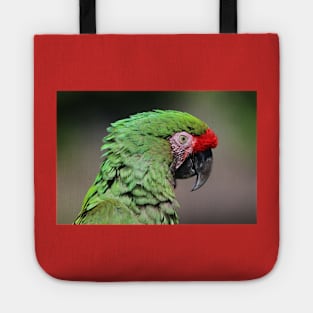 Parrot portrait Tote