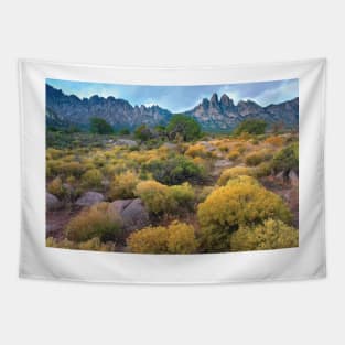 Organ Mountains Chihuahuan Desert Tapestry