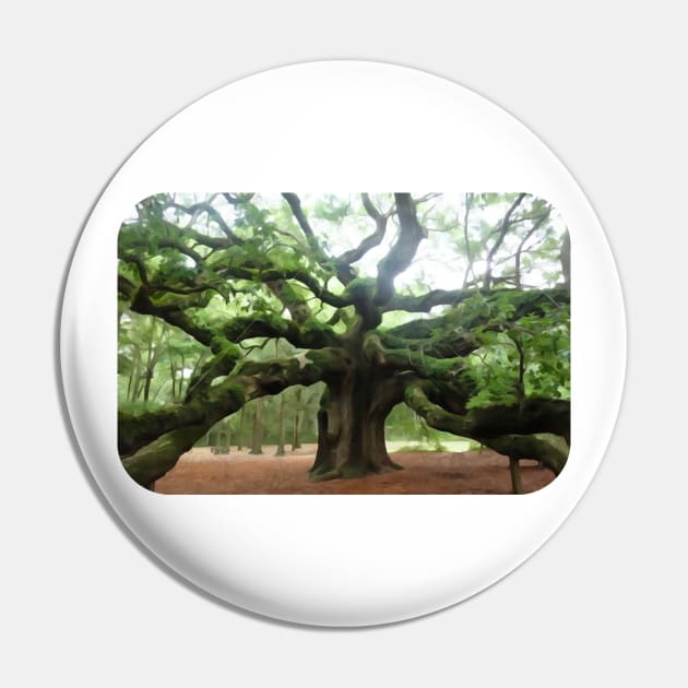 The Angel Oak Tree in South Carolina Pin by MJDiesl