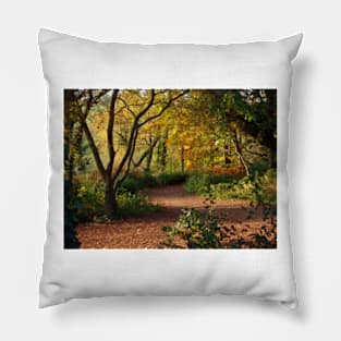 Autumn Colours Pillow