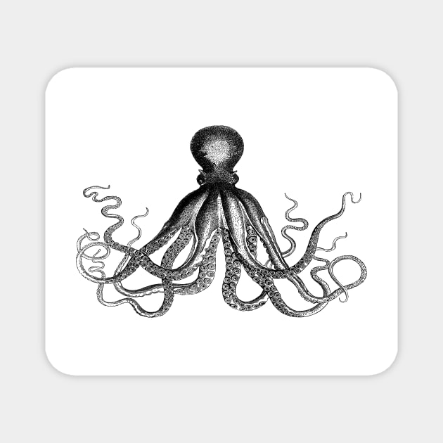 Octopus | Vintage Octopus | Tentacles | Sea Creatures | Nautical | Ocean | Sea | Beach | Black and White | Magnet by Eclectic At Heart