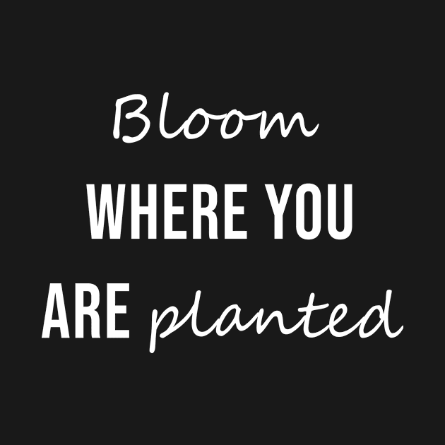 Bloom Where You Are Planted by anupasi