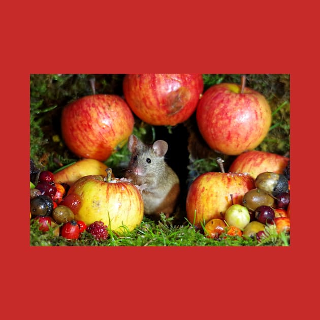 wild  house mouse and  apples by Simon-dell