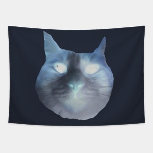 Nega Pippin Tapestry