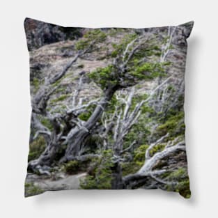 Windswept Woodland Pillow